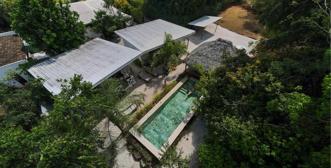Antema Lodge Secteur Tamarindo, Piscine, Yoga, Gym, Jungle Et Paix エクステリア 写真