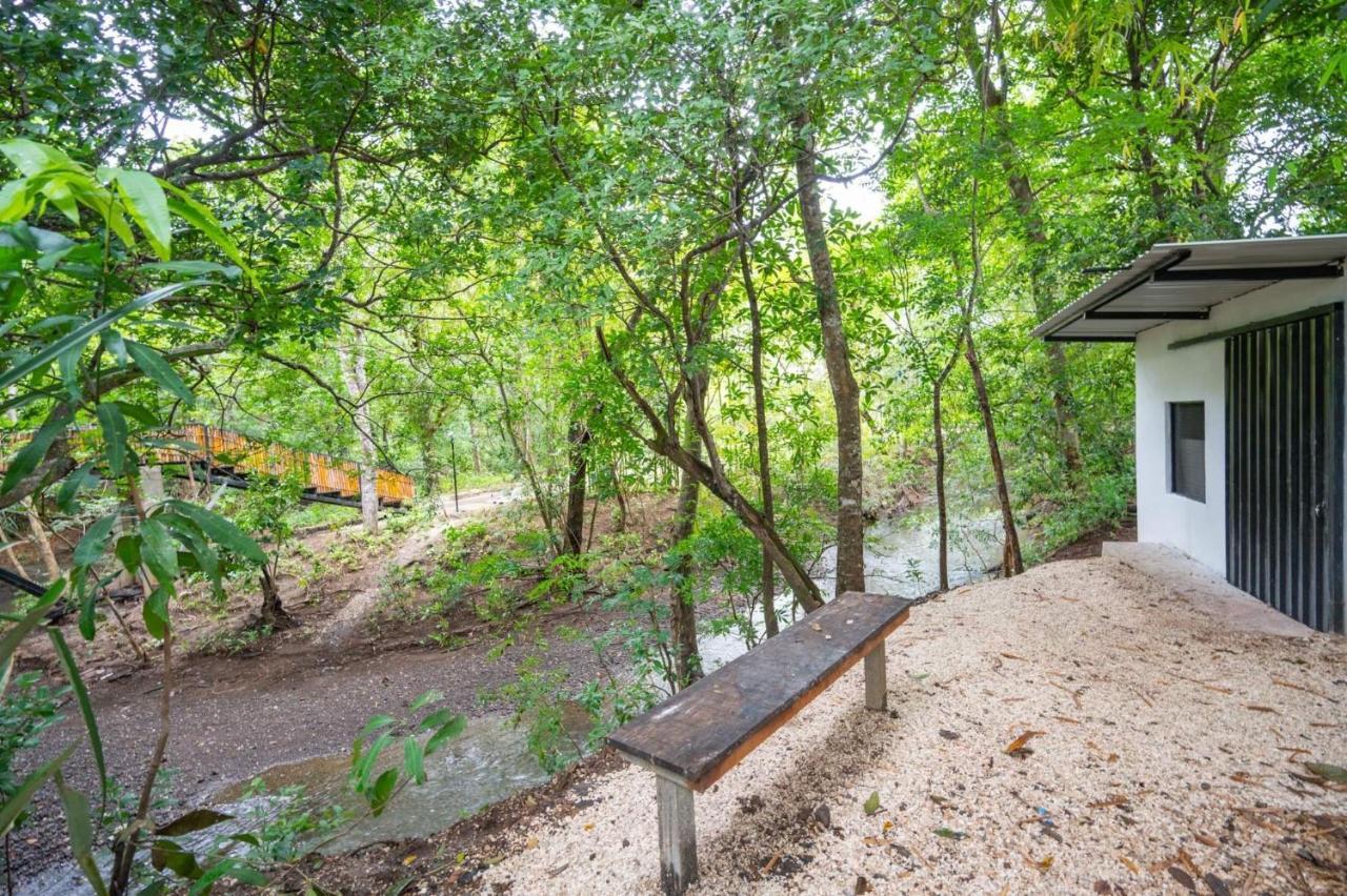 Antema Lodge Secteur Tamarindo, Piscine, Yoga, Gym, Jungle Et Paix エクステリア 写真