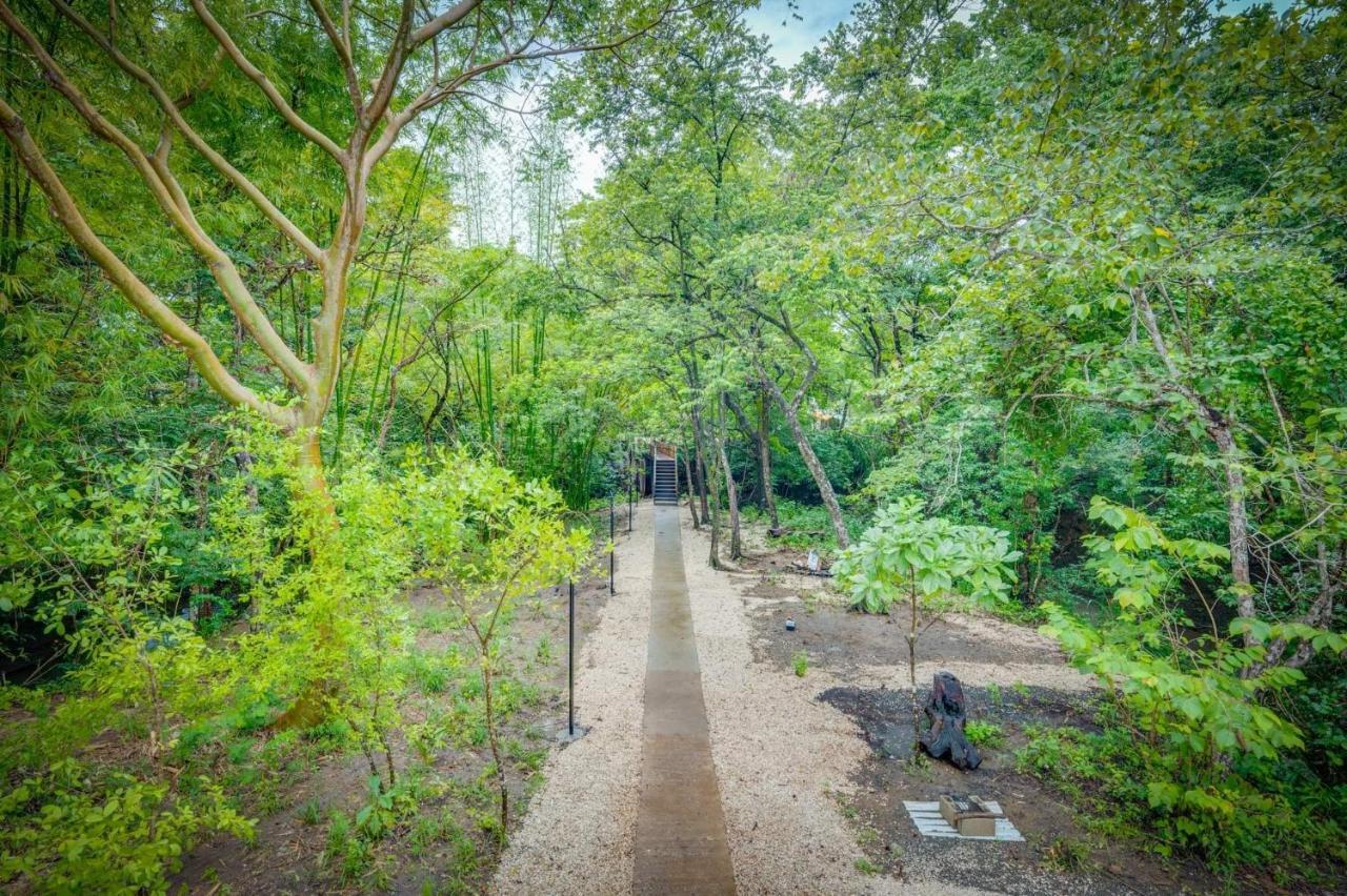 Antema Lodge Secteur Tamarindo, Piscine, Yoga, Gym, Jungle Et Paix エクステリア 写真