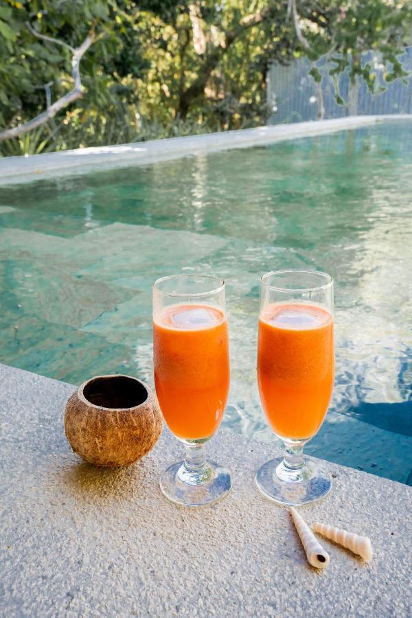 Antema Lodge Secteur Tamarindo, Piscine, Yoga, Gym, Jungle Et Paix エクステリア 写真