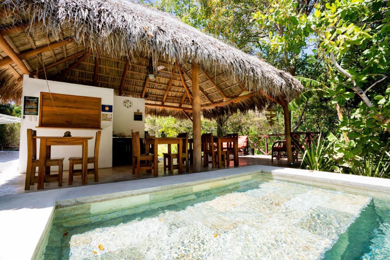 Antema Lodge Secteur Tamarindo, Piscine, Yoga, Gym, Jungle Et Paix エクステリア 写真