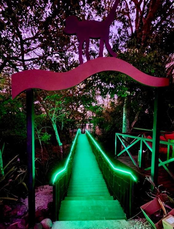 Antema Lodge Secteur Tamarindo, Piscine, Yoga, Gym, Jungle Et Paix エクステリア 写真