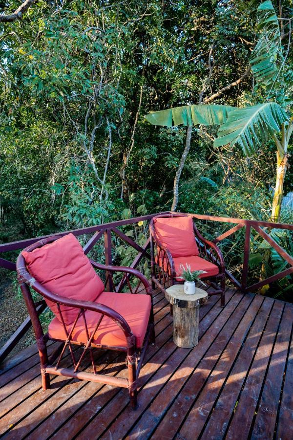 Antema Lodge Secteur Tamarindo, Piscine, Yoga, Gym, Jungle Et Paix エクステリア 写真